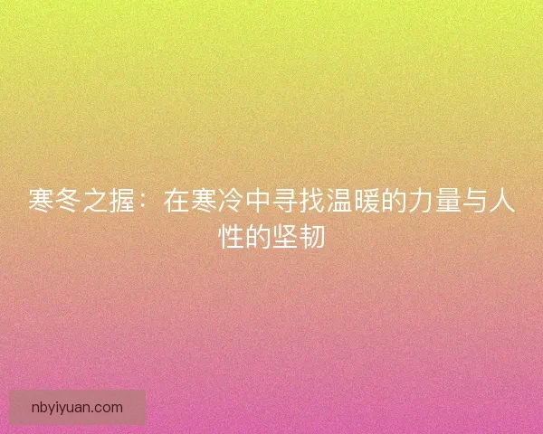 寒冬之握：在寒冷中寻找温暖的力量与人性的坚韧