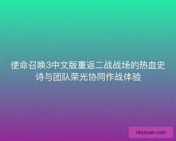 使命召唤3中文版重返二战战场的热血史诗与团队荣光协同作战体验