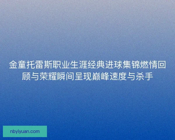 金童托雷斯职业生涯经典进球集锦燃情回顾与荣耀瞬间呈现巅峰速度与杀手