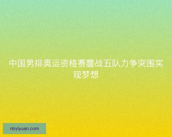 中国男排奥运资格赛鏖战五队力争突围实现梦想 中国男排奥运资格赛鏖战五队力争突围实现梦想
