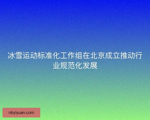 冰雪运动标准化工作组在北京成立推动行业规范化发展 冰雪运动标准化工作组在北京成立推动行业规范化发展